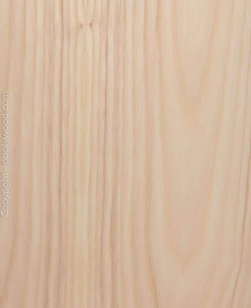 Ash Olive Veneered Birch Plywood Peter Benson Plywood Ltd